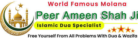 Peer Ameen Shah Ji: +447348540615